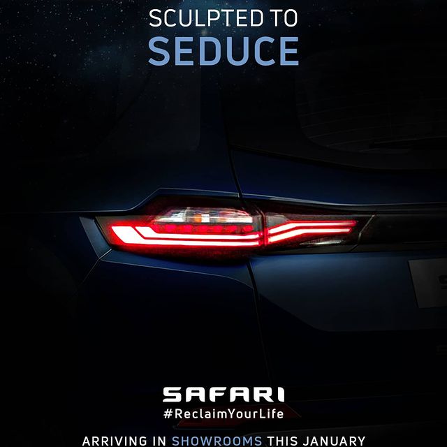 136713062_813140802750150_9050701314381713069_n